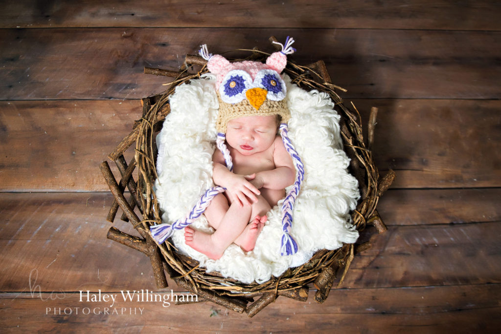 Martinsburg WV Newborn Photographer