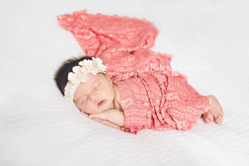 Newborn Photographer Martinsburg WV