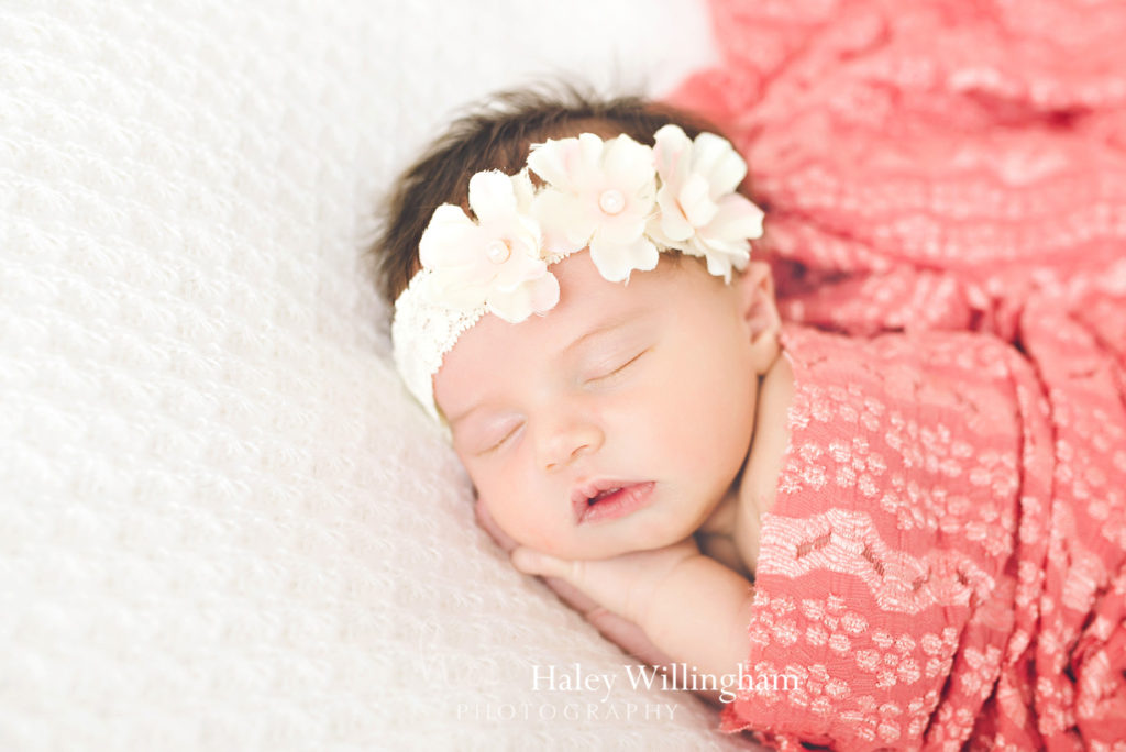 Newborn Photographer Martinsburg WV