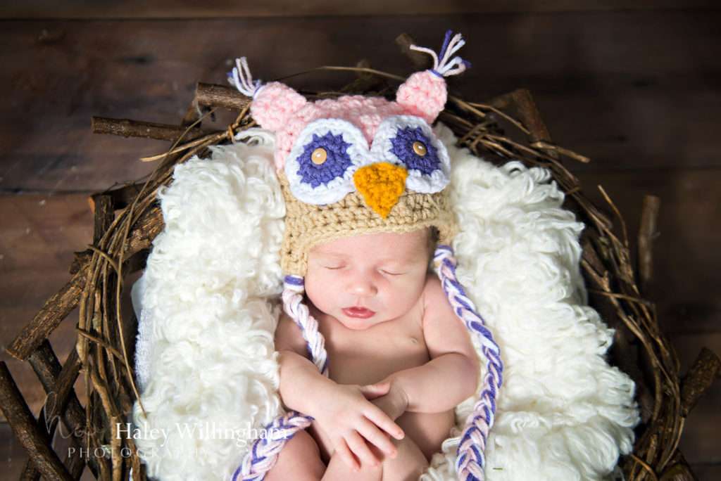 Martinsburg WV Newborn Photographer