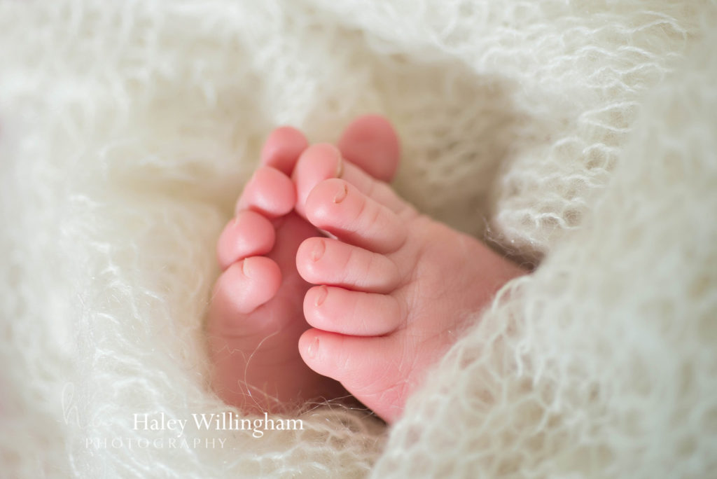 Martinsburg WV Newborn Photographer