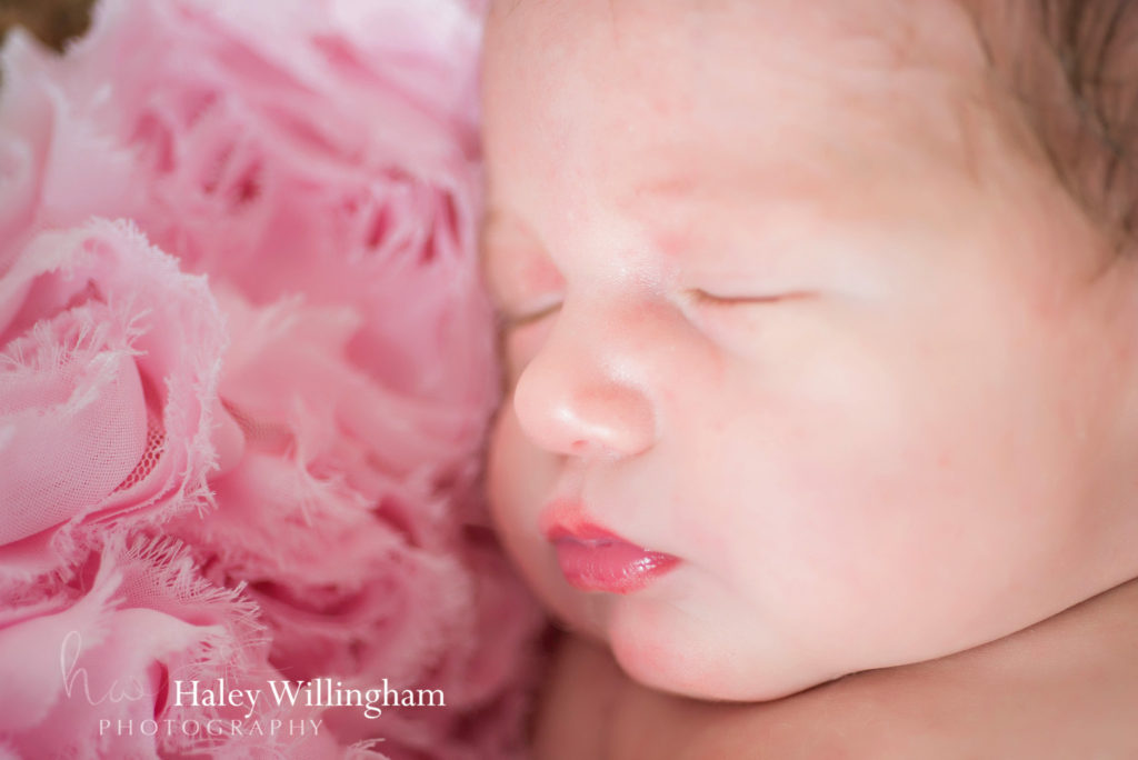 Martinsburg WV Newborn Photographer