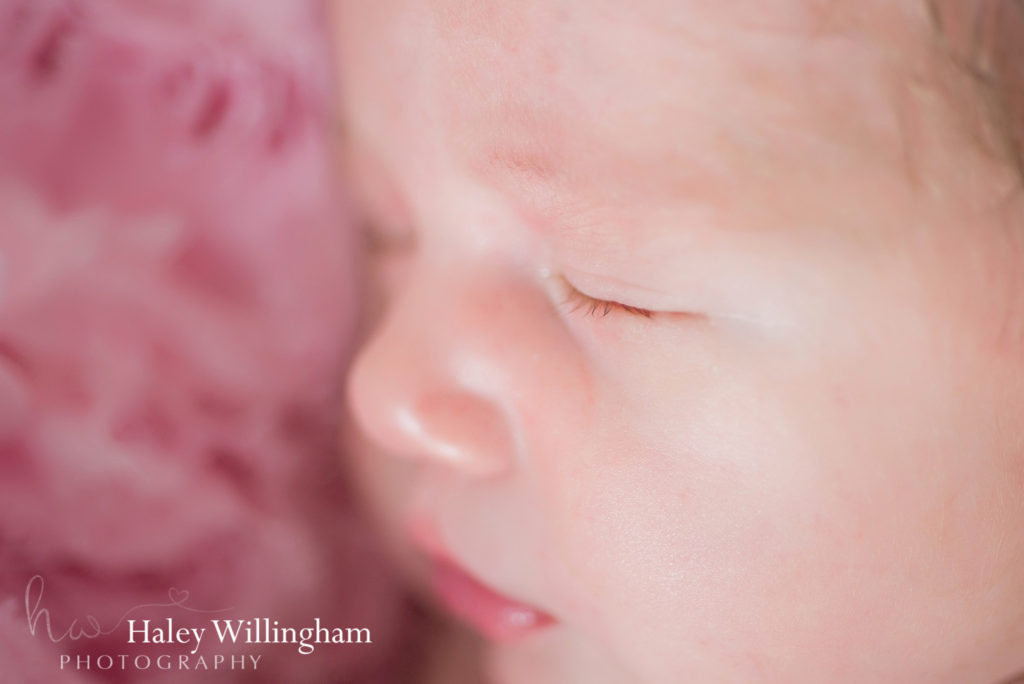 Martinsburg WV Newborn Photographer