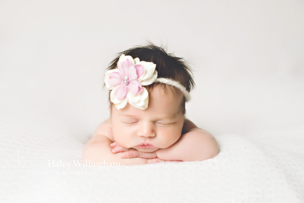 Newborn Photographer Martinsburg WV