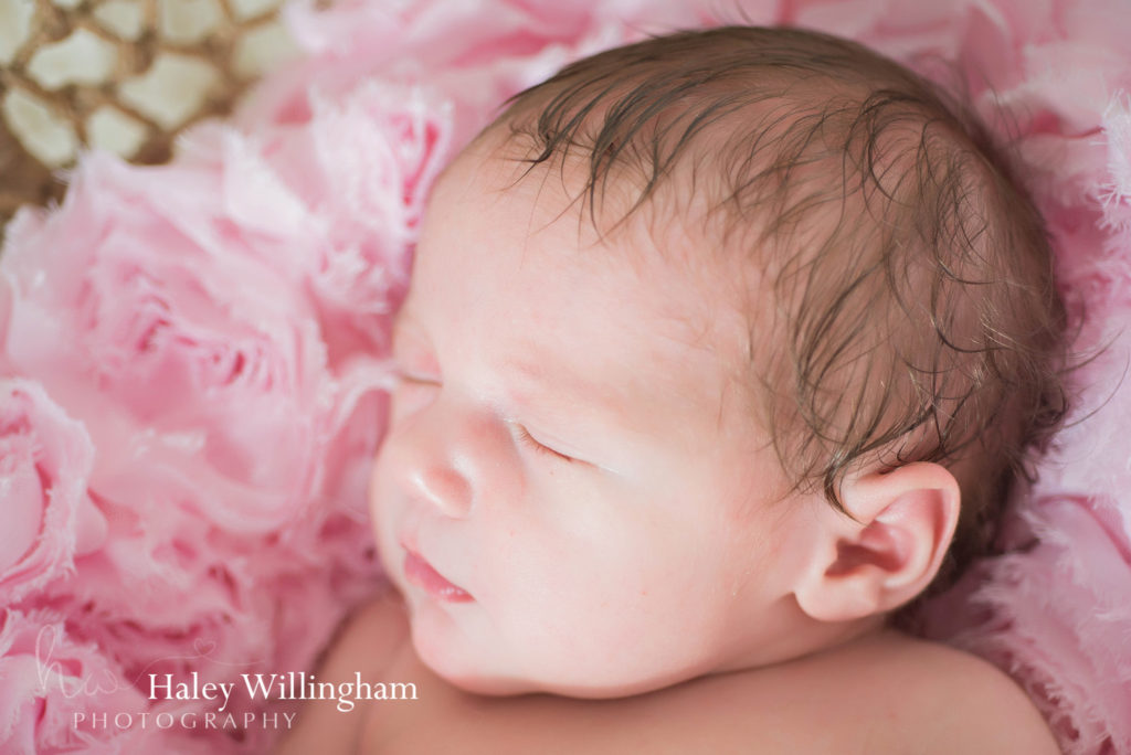 Martinsburg WV Newborn Photographer