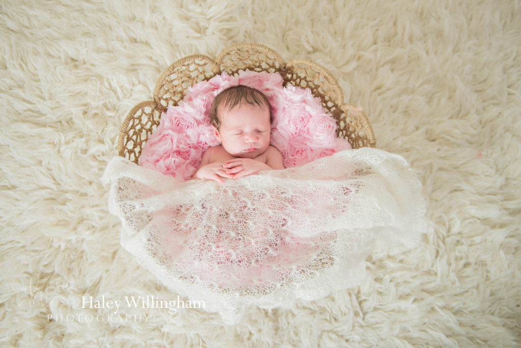 Martinsburg WV Newborn Photographer