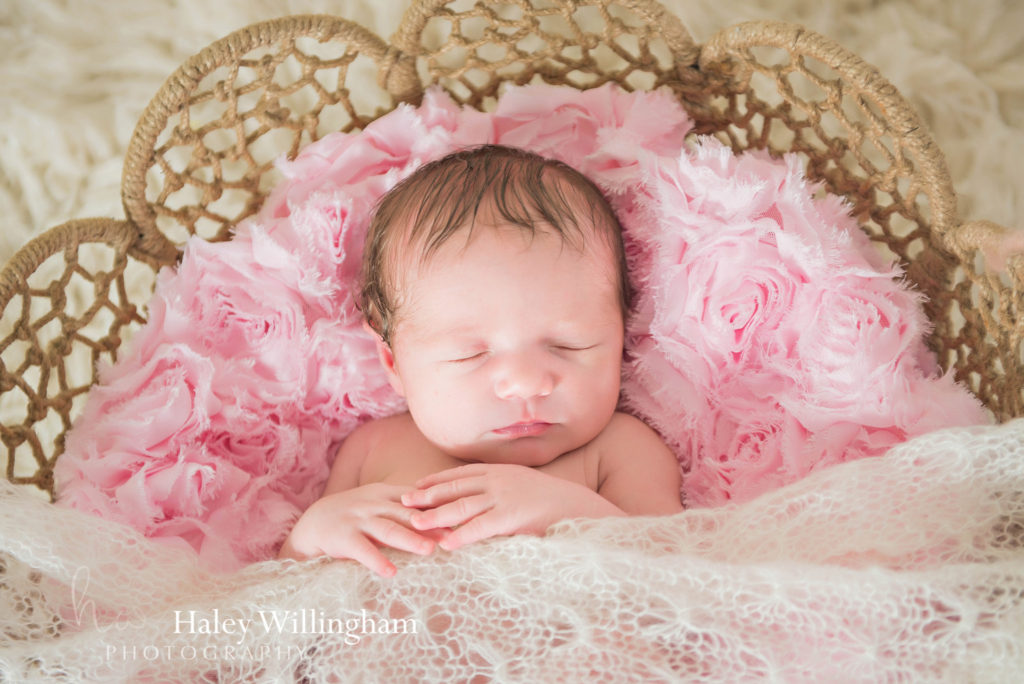 Martinsburg WV Newborn Photographer