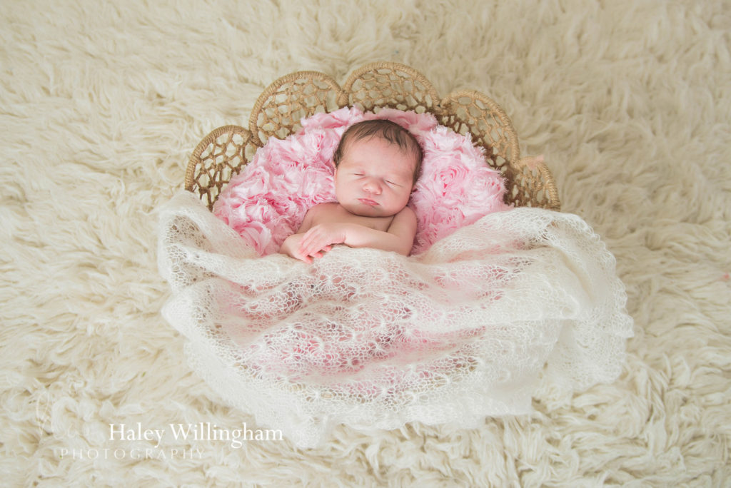 Martinsburg WV Newborn Photographer