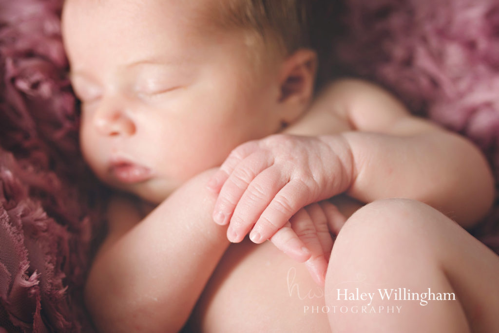 Newborn Photographer Martinsburg WV