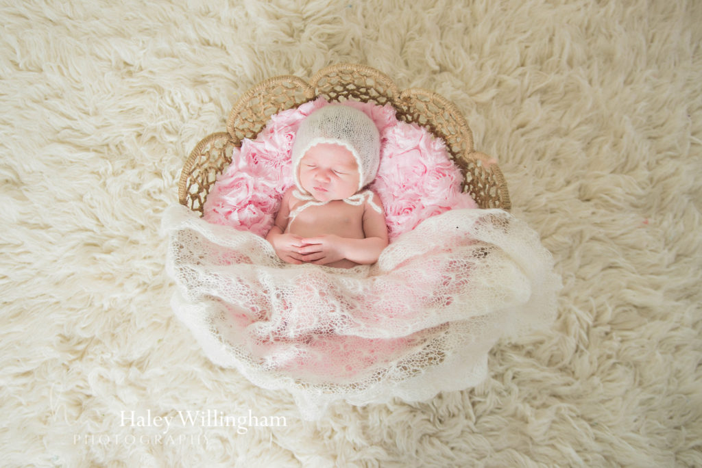 Martinsburg WV Newborn Photographer