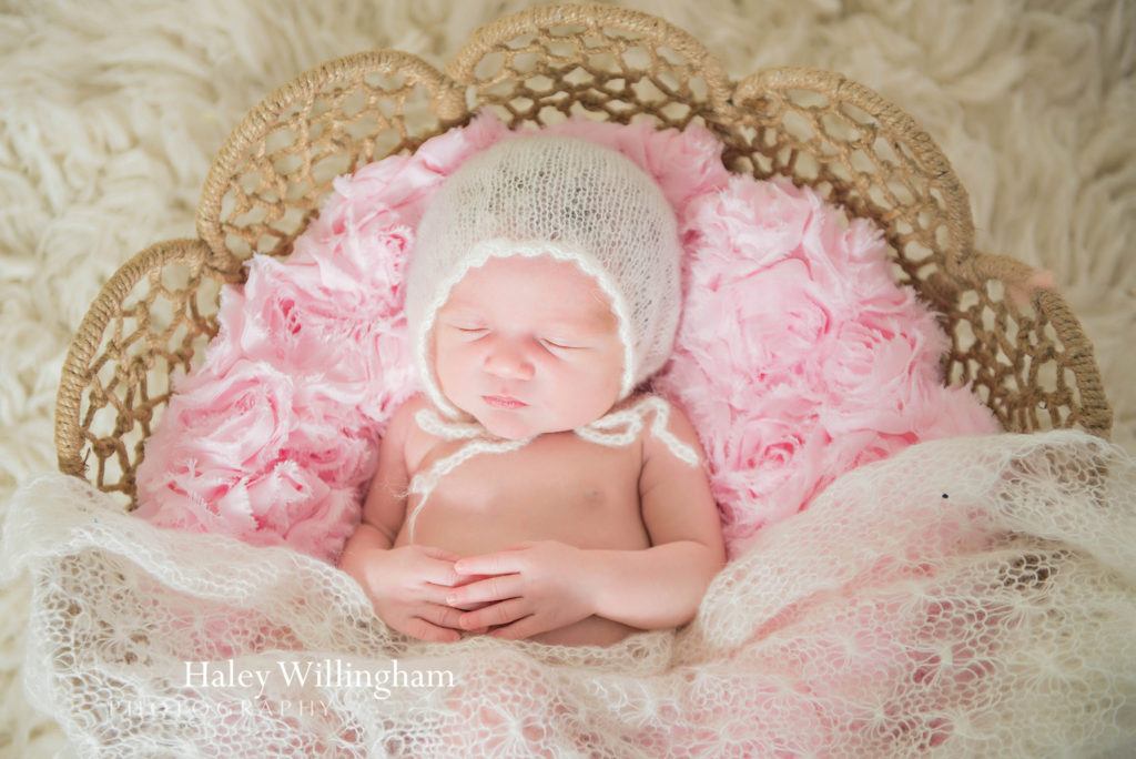 Martinsburg WV Newborn Photographer