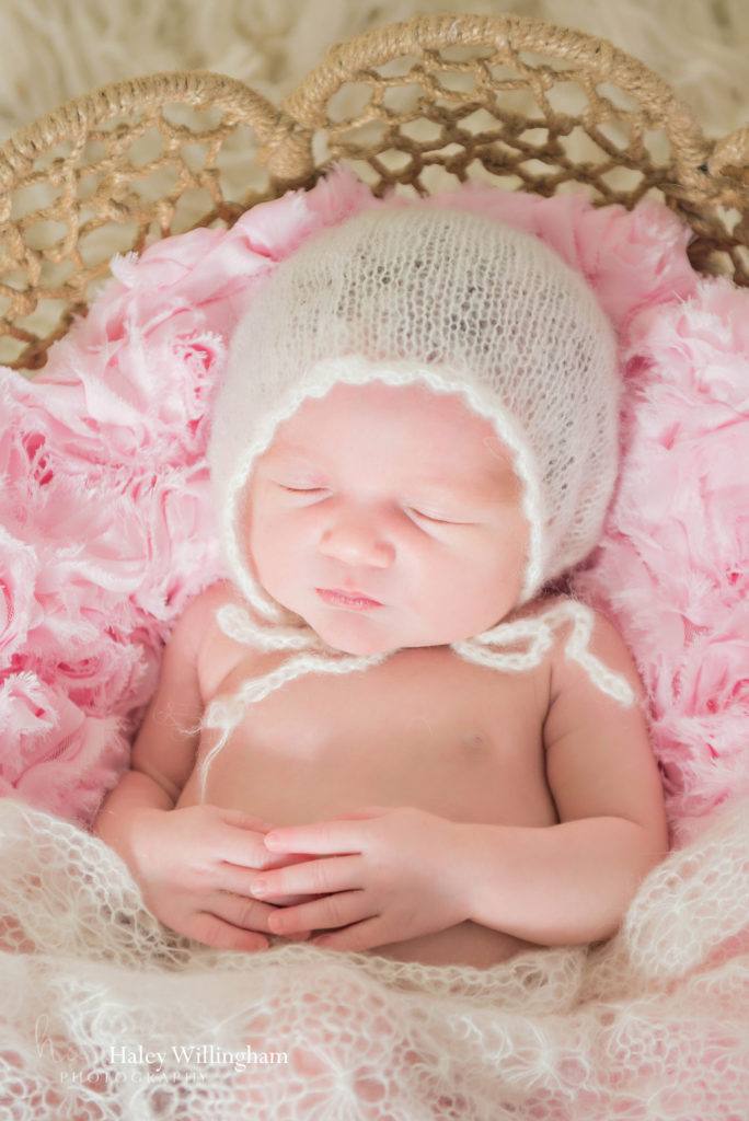 Martinsburg WV Newborn Photographer