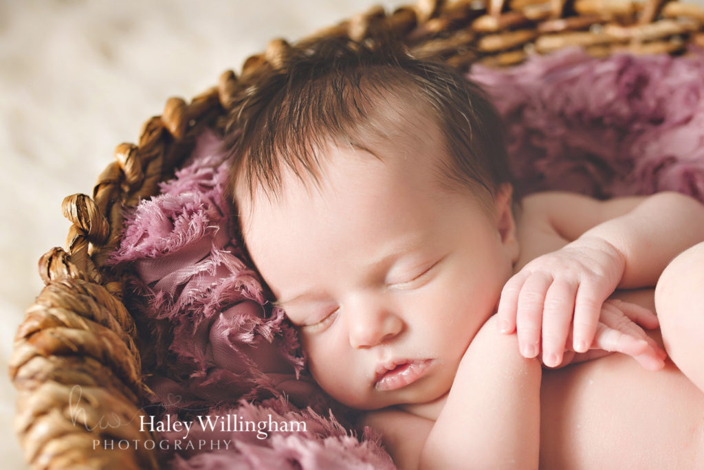 Newborn Photographer Martinsburg WV