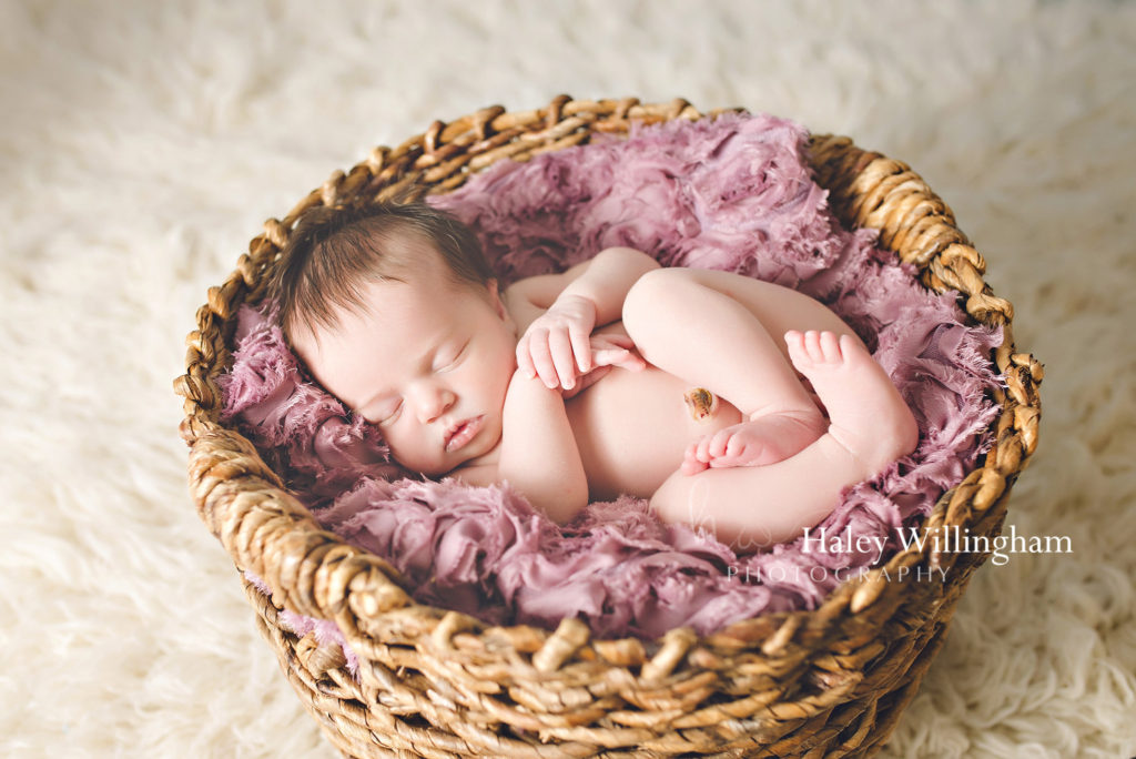 Newborn Photographer Martinsburg WV