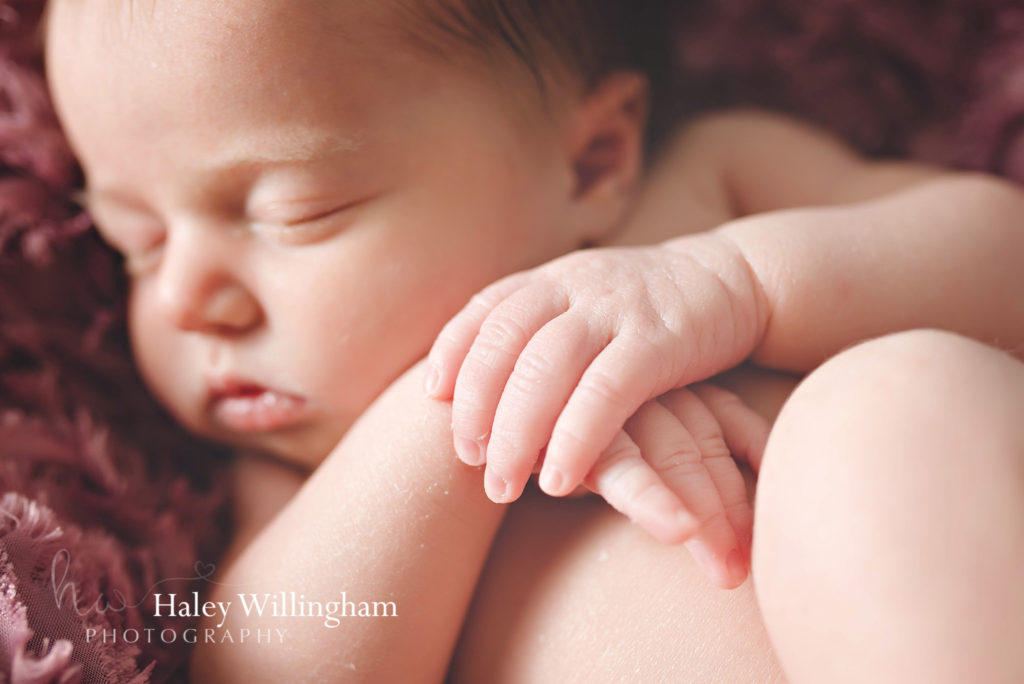 Newborn Photographer Martinsburg WV