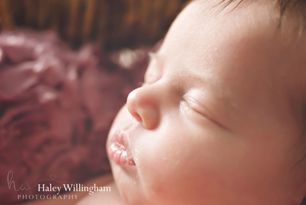 Newborn Photographer Martinsburg WV