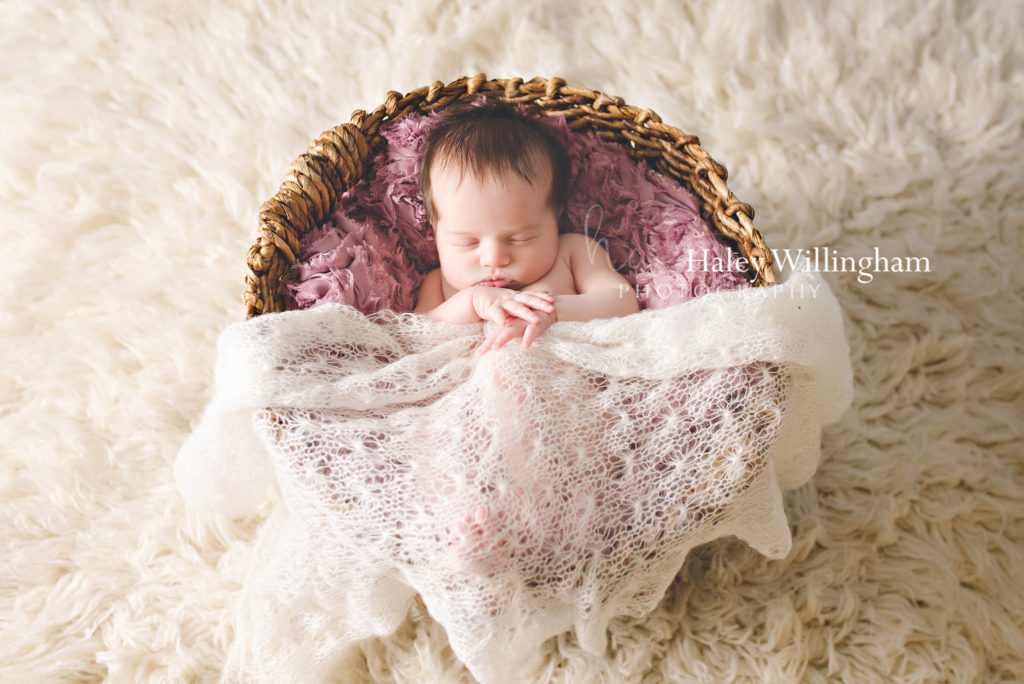 Newborn Photographer Martinsburg WV