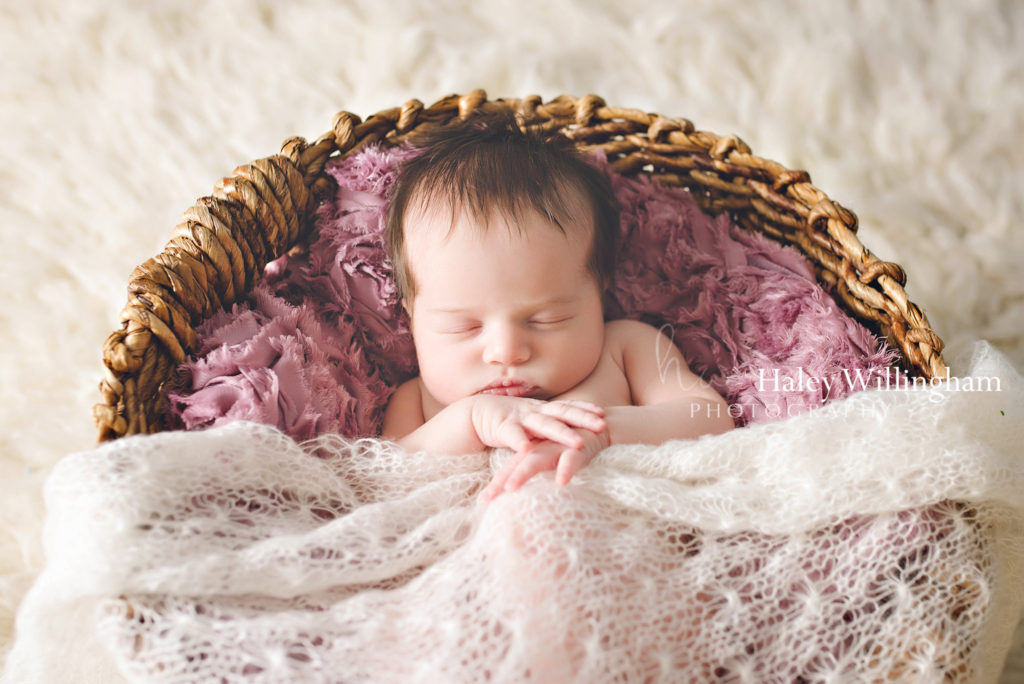 Newborn Photographer Martinsburg WV