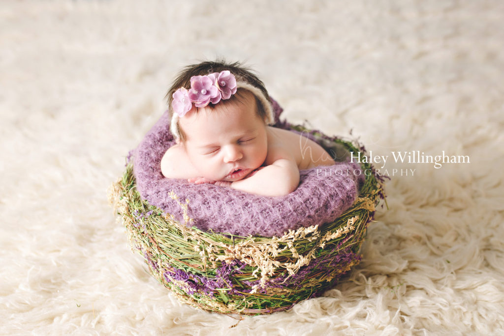 Newborn Photographer Martinsburg WV