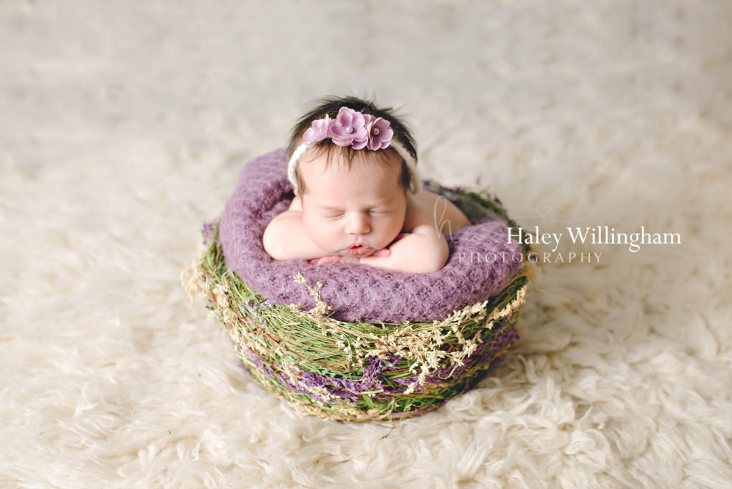 Newborn Photographer Martinsburg WV