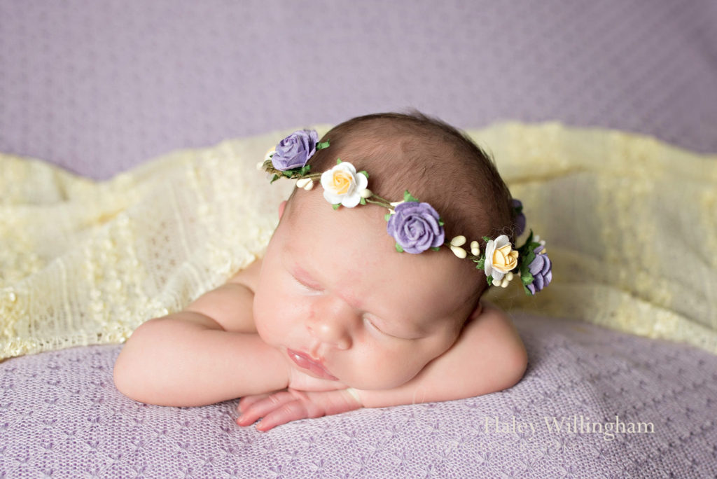 Hagesrtown Maryland Newborn Photographer