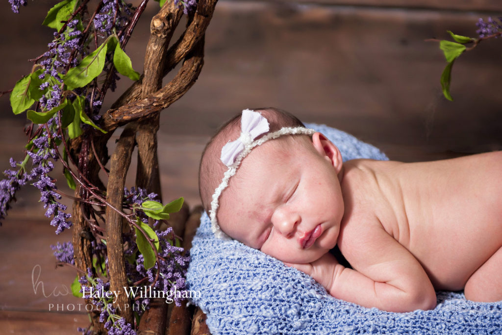 Hagesrtown Maryland Newborn Photographer