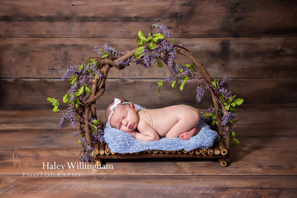 Hagesrtown Maryland Newborn Photographer