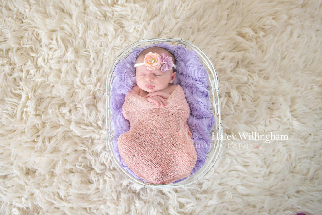 Hagesrtown Maryland Newborn Photographer