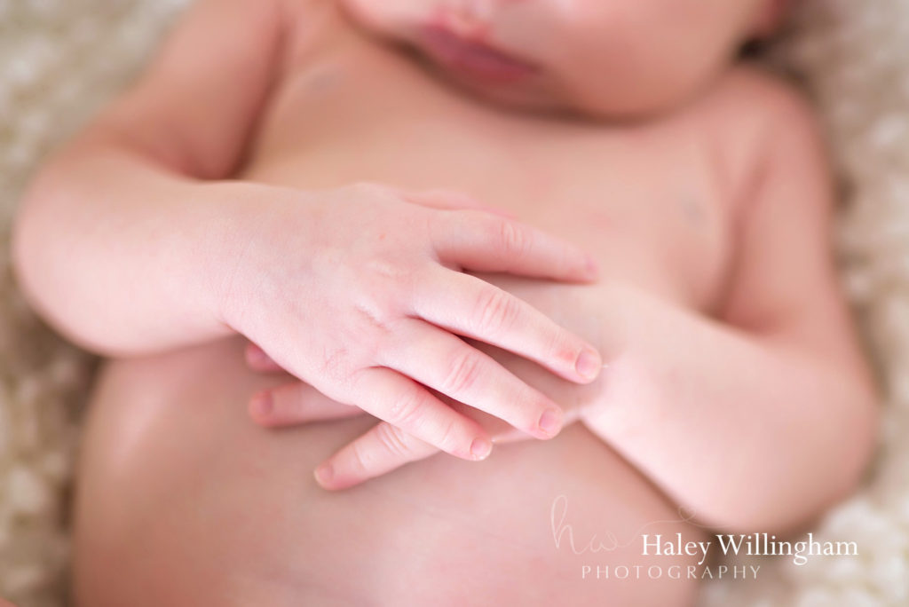 Hagesrtown Maryland Newborn Photographer