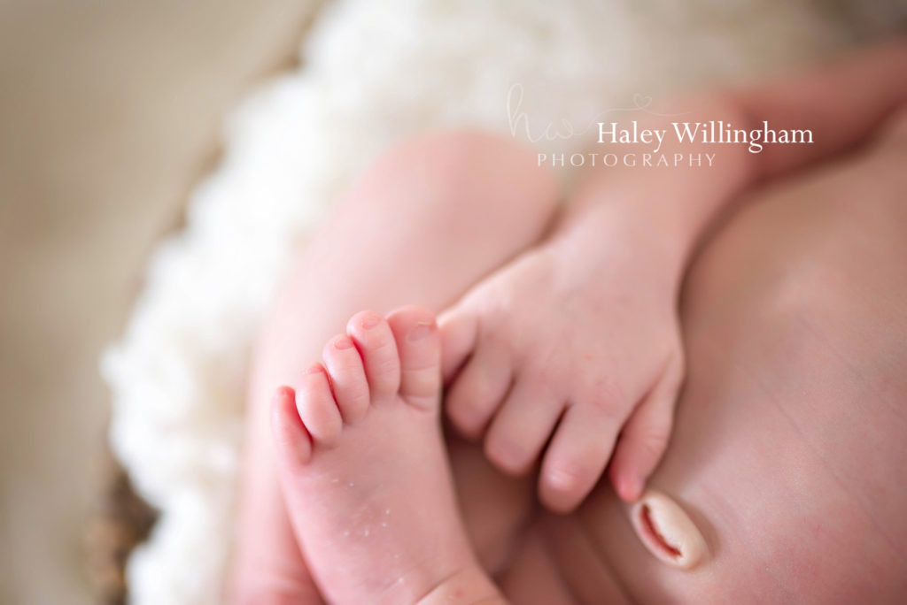 Hagesrtown Maryland Newborn Photographer