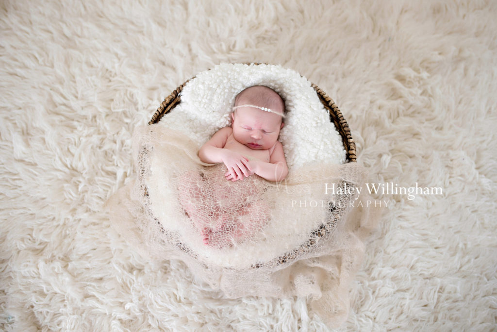 Hagesrtown Maryland Newborn Photographer