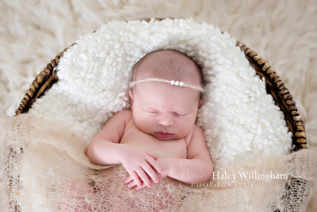 Hagesrtown Maryland Newborn Photographer