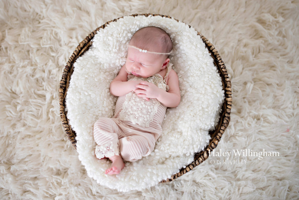 Hagesrtown Maryland Newborn Photographer