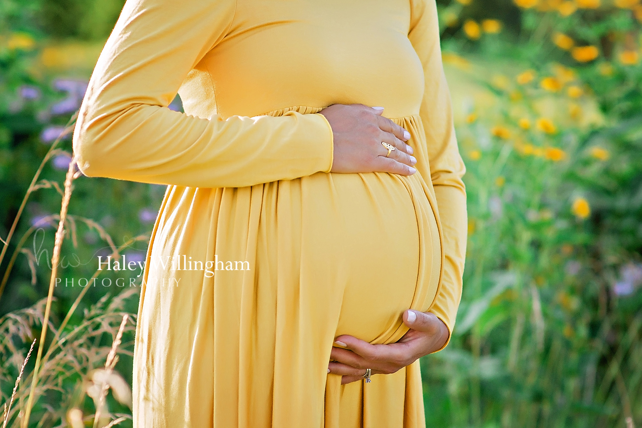 Maternity Photographer Winchester Virginia Haley Willingham Photography