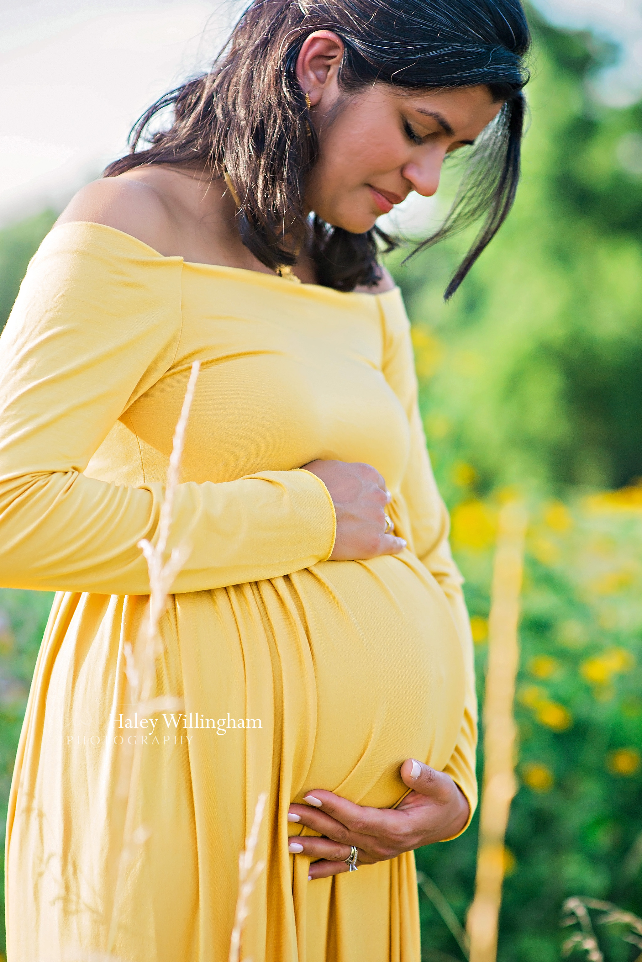 Maternity Photographer Winchester Virginia Haley Willingham Photography