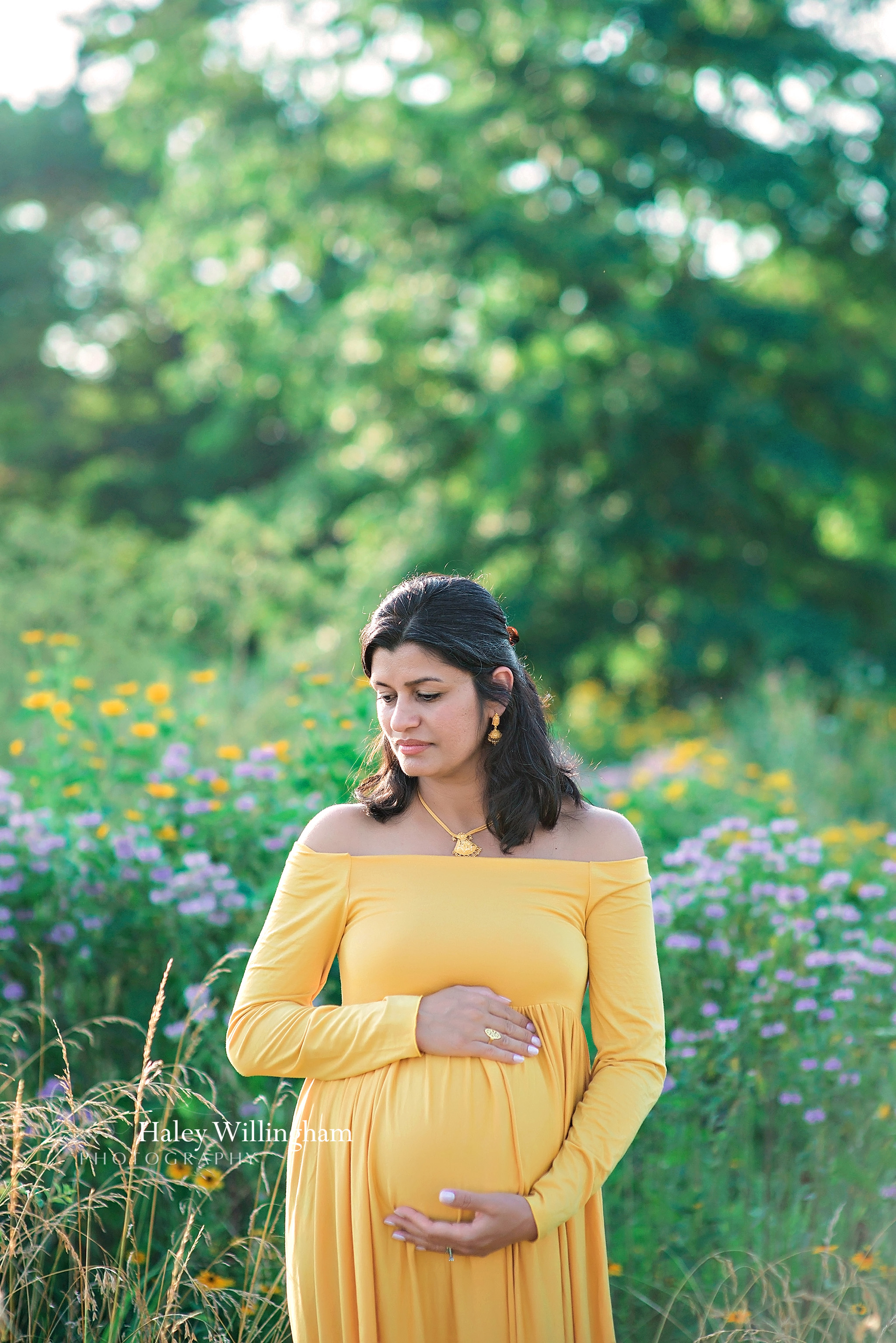Maternity Photographer Winchester Virginia Haley Willingham Photography