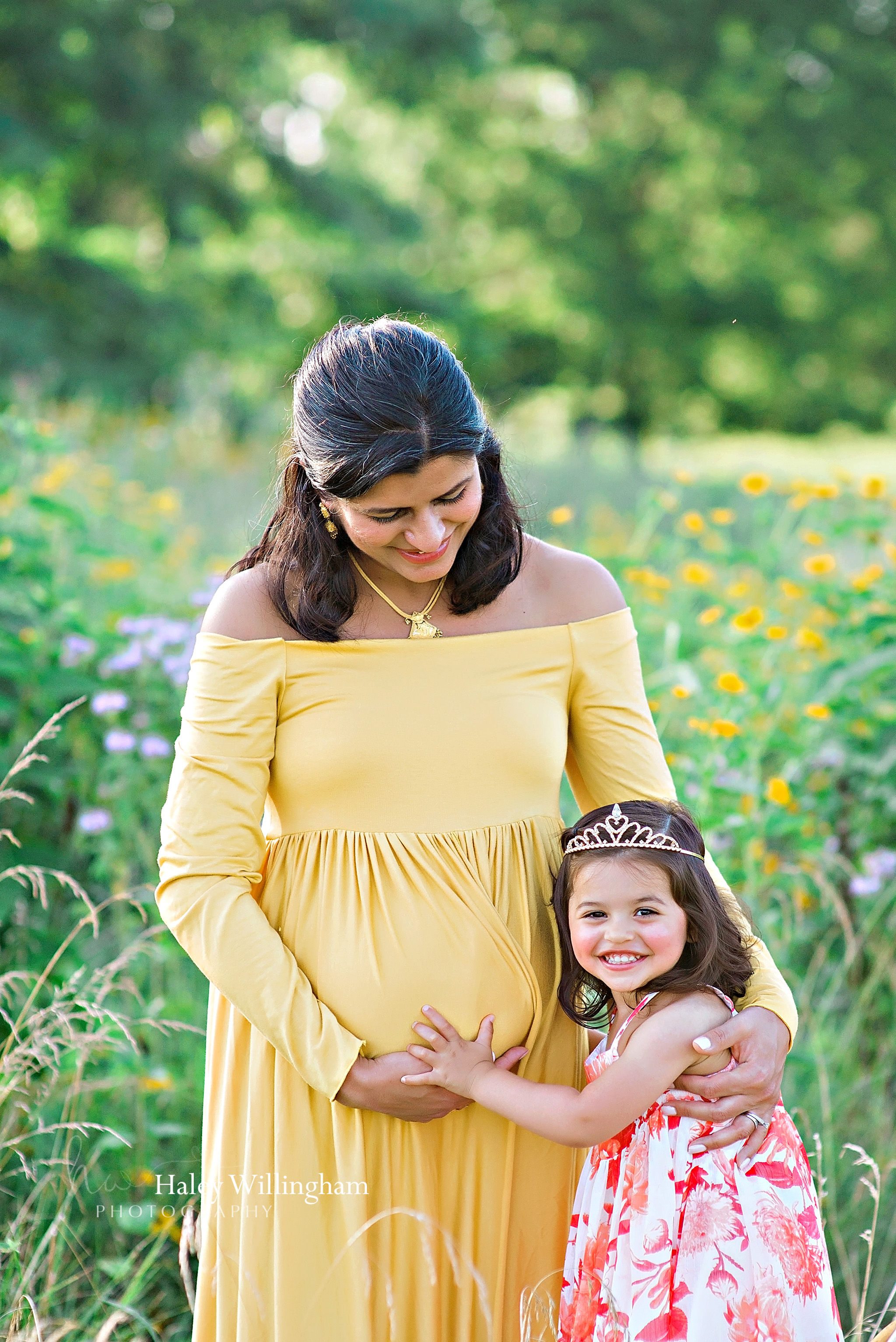 Maternity Photographer Winchester Virginia Haley Willingham Photography