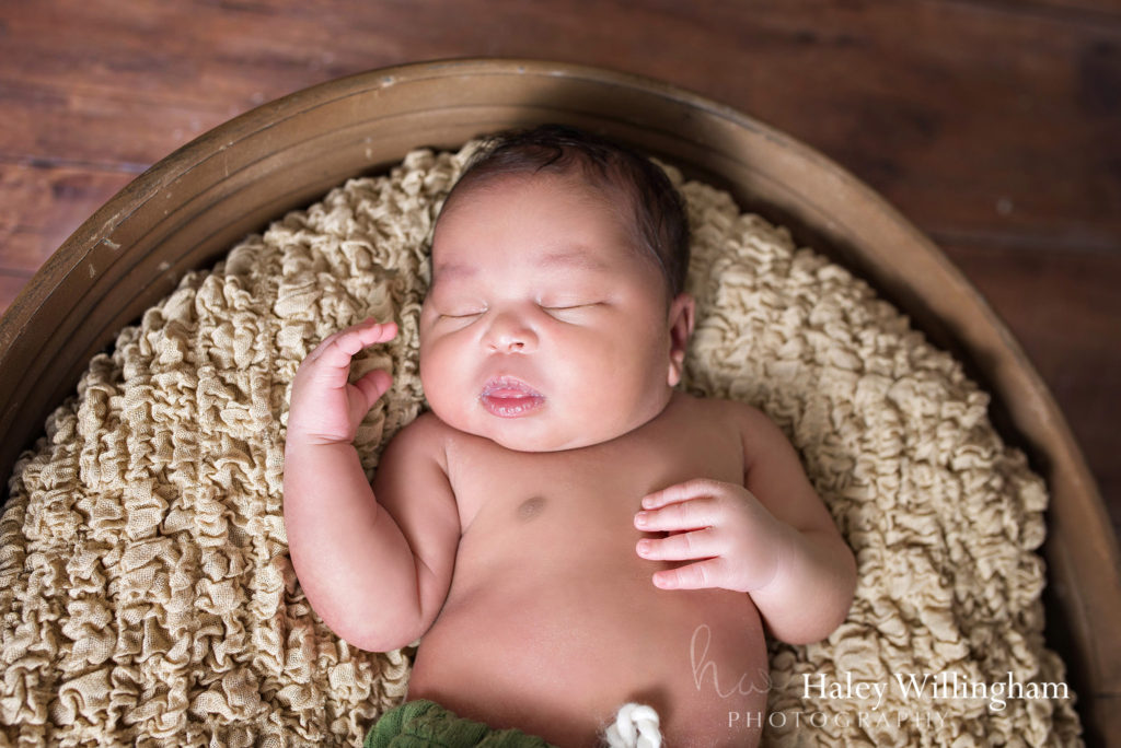 Charles Town WV Twin Newborn Photographer