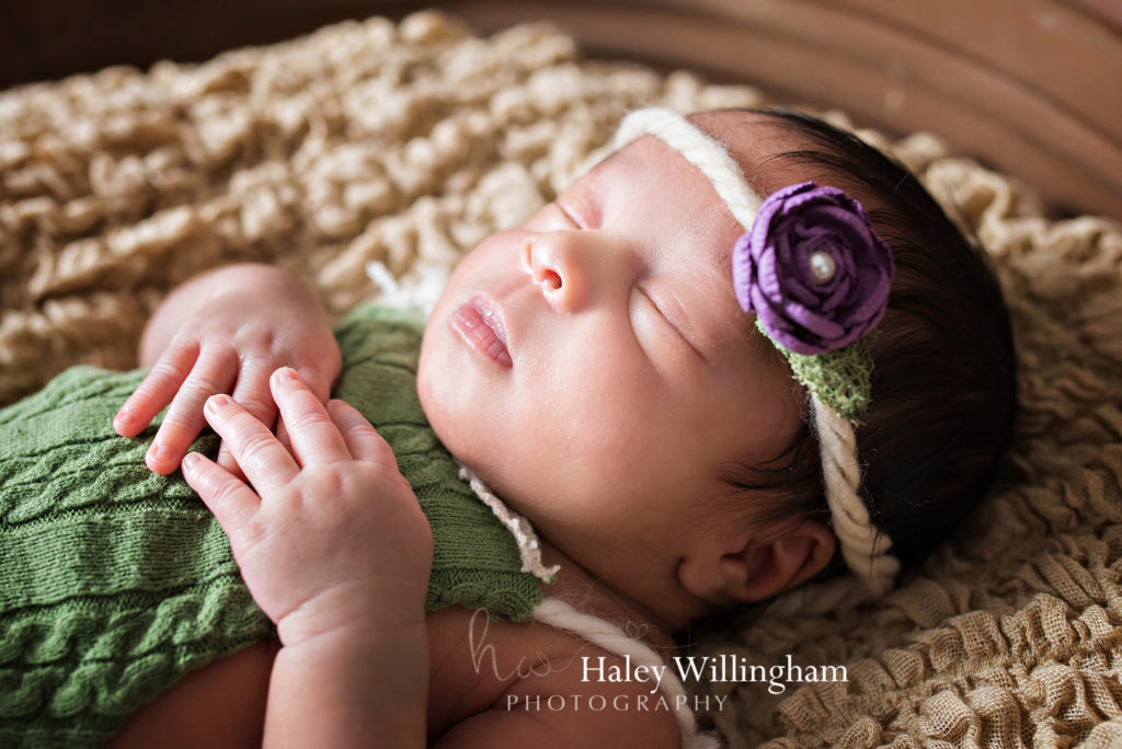 Charles Town WV Twin Newborn Photographer