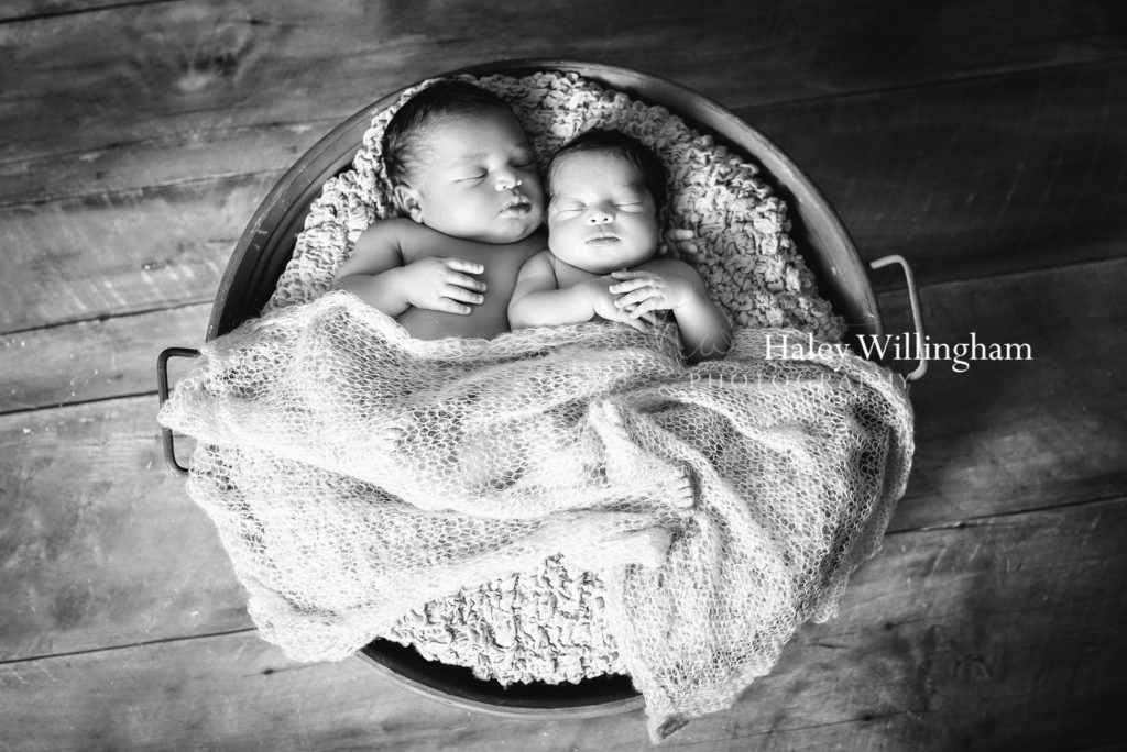 Charles Town WV Twin Newborn Photographer