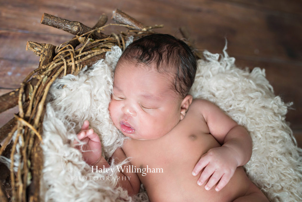 Charles Town WV Twin Newborn Photographer