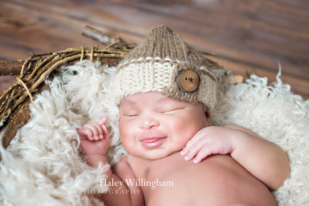 Charles Town WV Twin Newborn Photographer