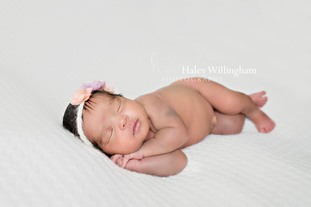 Charles Town WV Twin Newborn Photographer