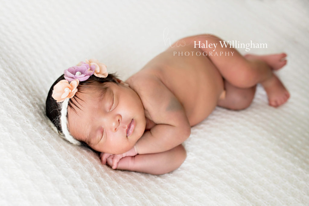 Charles Town WV Twin Newborn Photographer