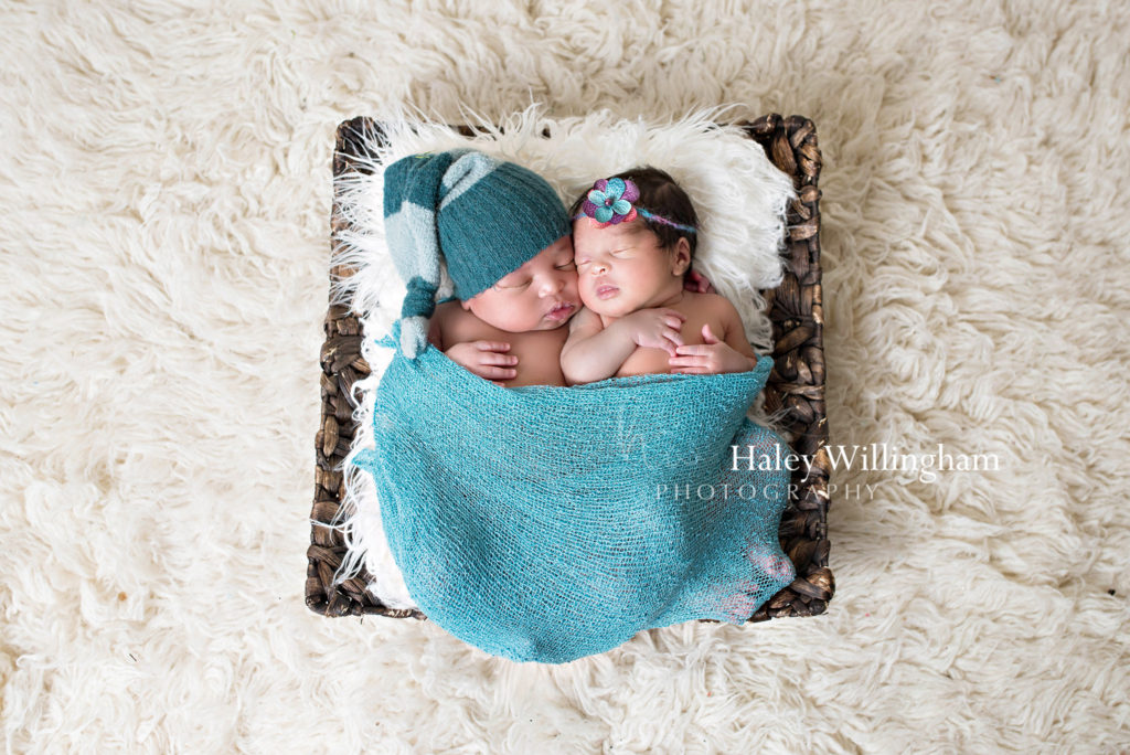 Charles Town WV Twin Newborn Photographer