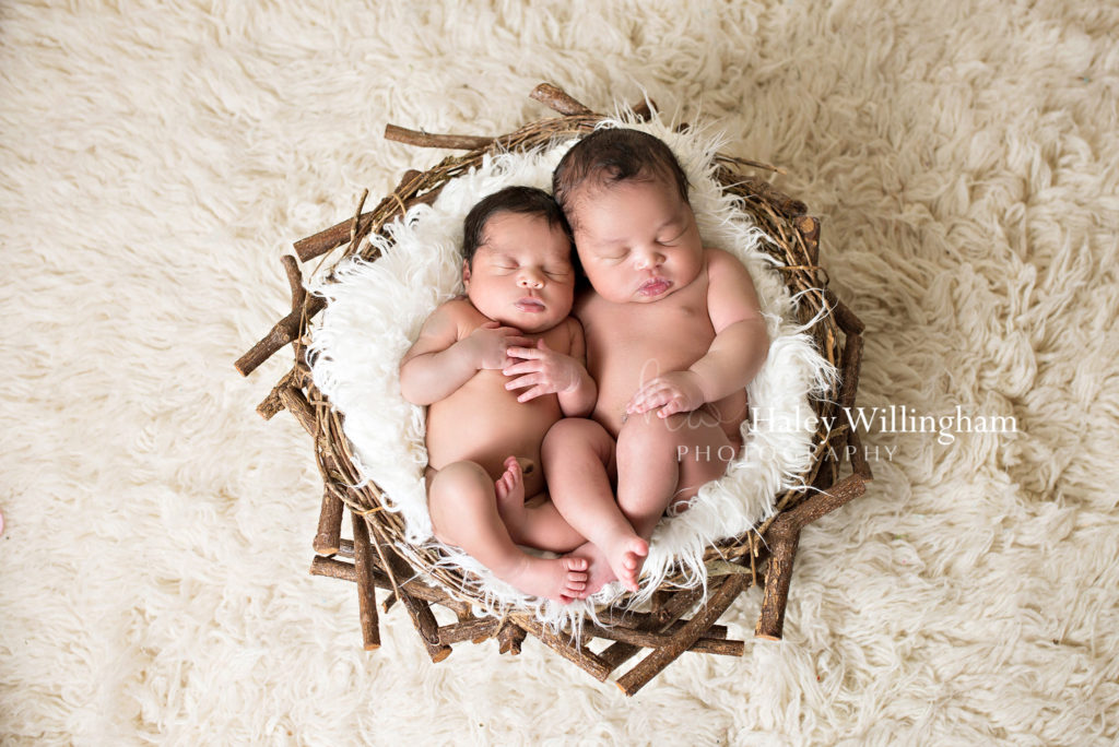 Charles Town WV Twin Newborn Photographer