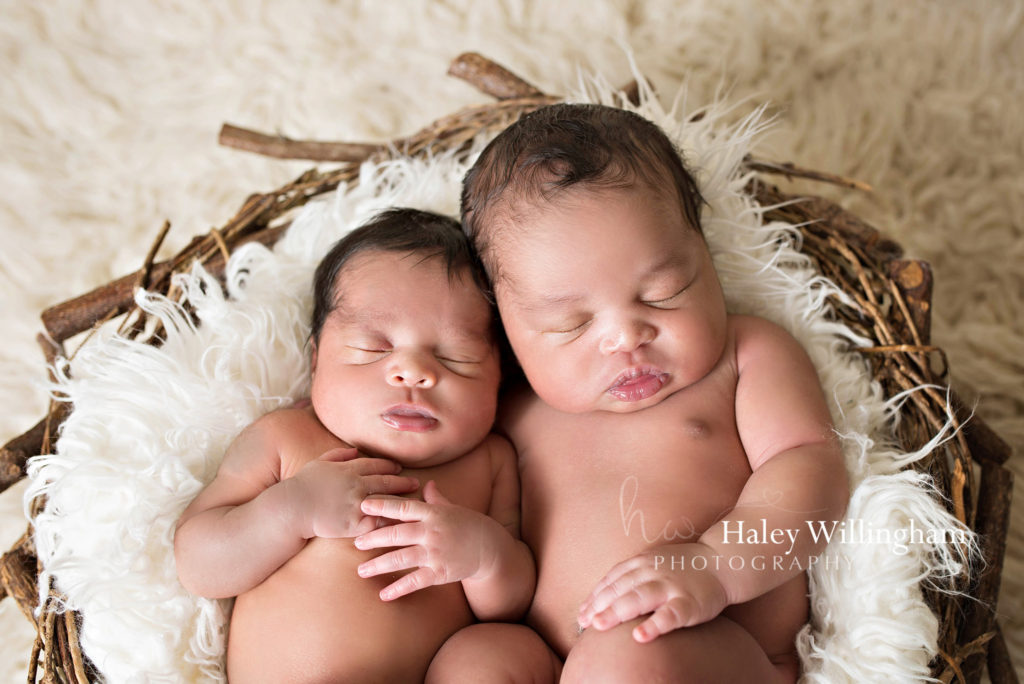 Charles Town WV Twin Newborn Photographer