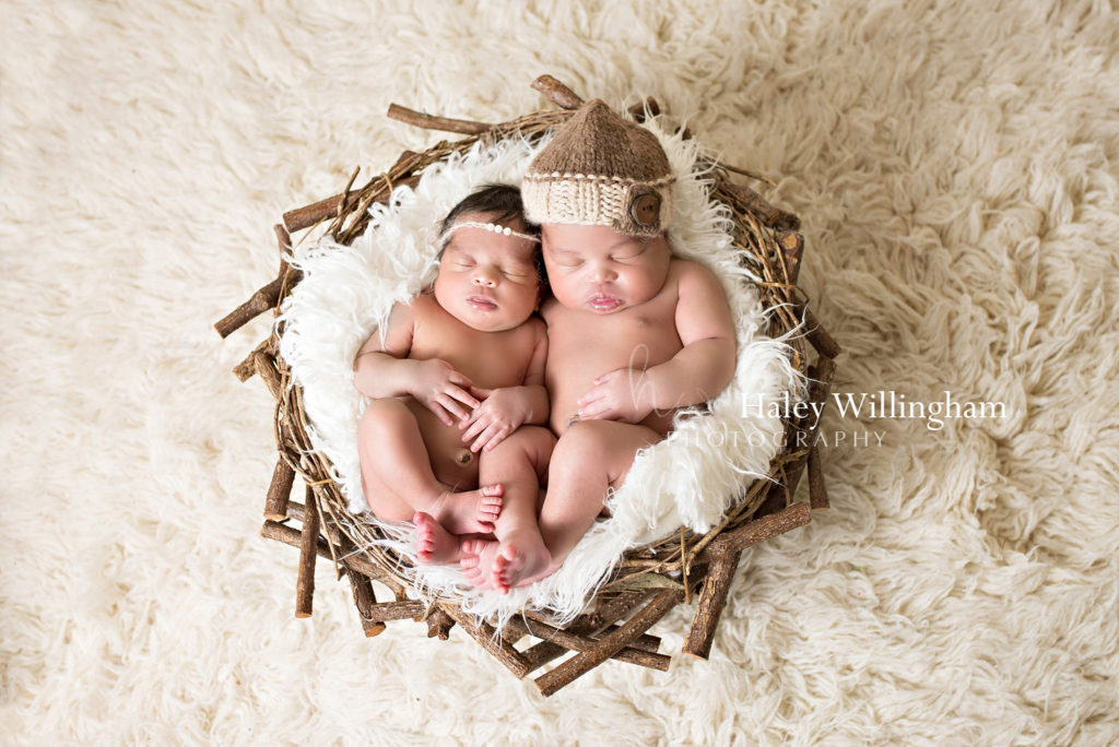 Charles Town WV Twin Newborn Photographer