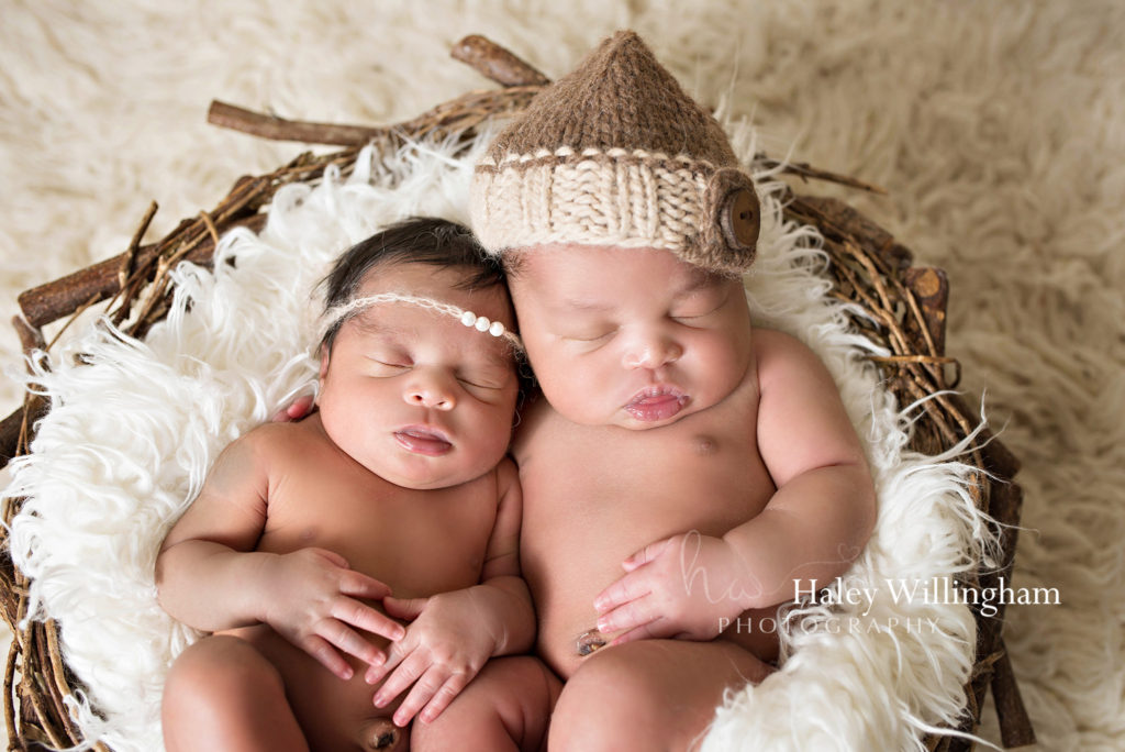 Charles Town WV Twin Newborn Photographer