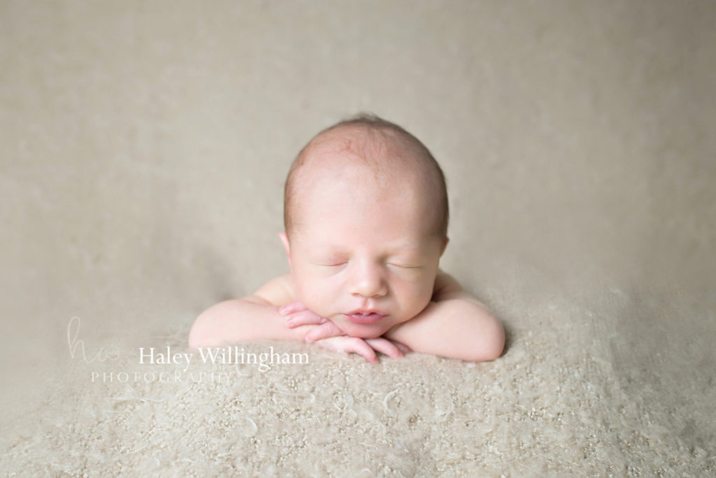 Hagesrtown Maryland Newborn Photographer